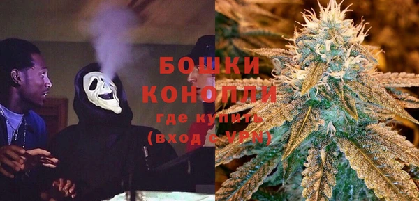 тгк Арсеньев