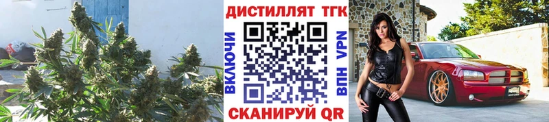 Дистиллят ТГК THC oil  Барыш 